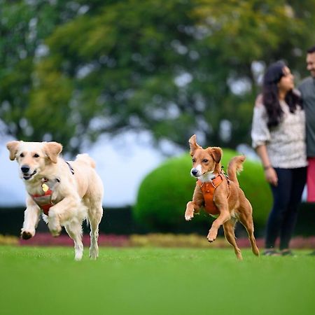 Nature Trails Sajan, Vikramgad Kudan Luaran gambar