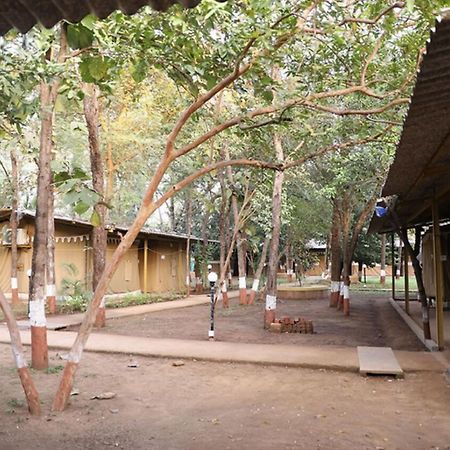 Nature Trails Sajan, Vikramgad Kudan Luaran gambar