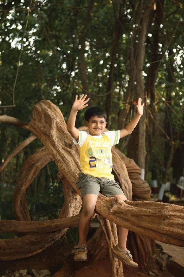 Nature Trails Sajan, Vikramgad Kudan Luaran gambar