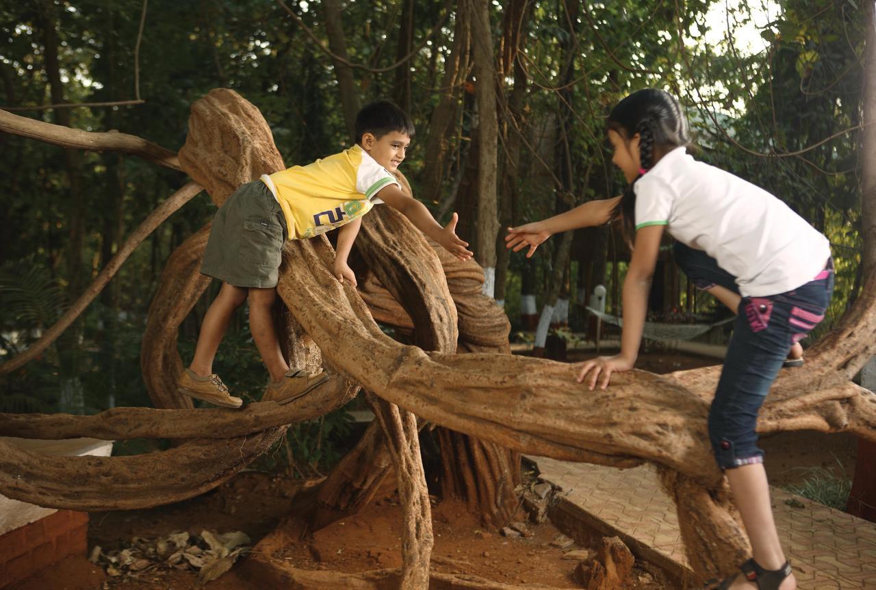 Nature Trails Sajan, Vikramgad Kudan Luaran gambar