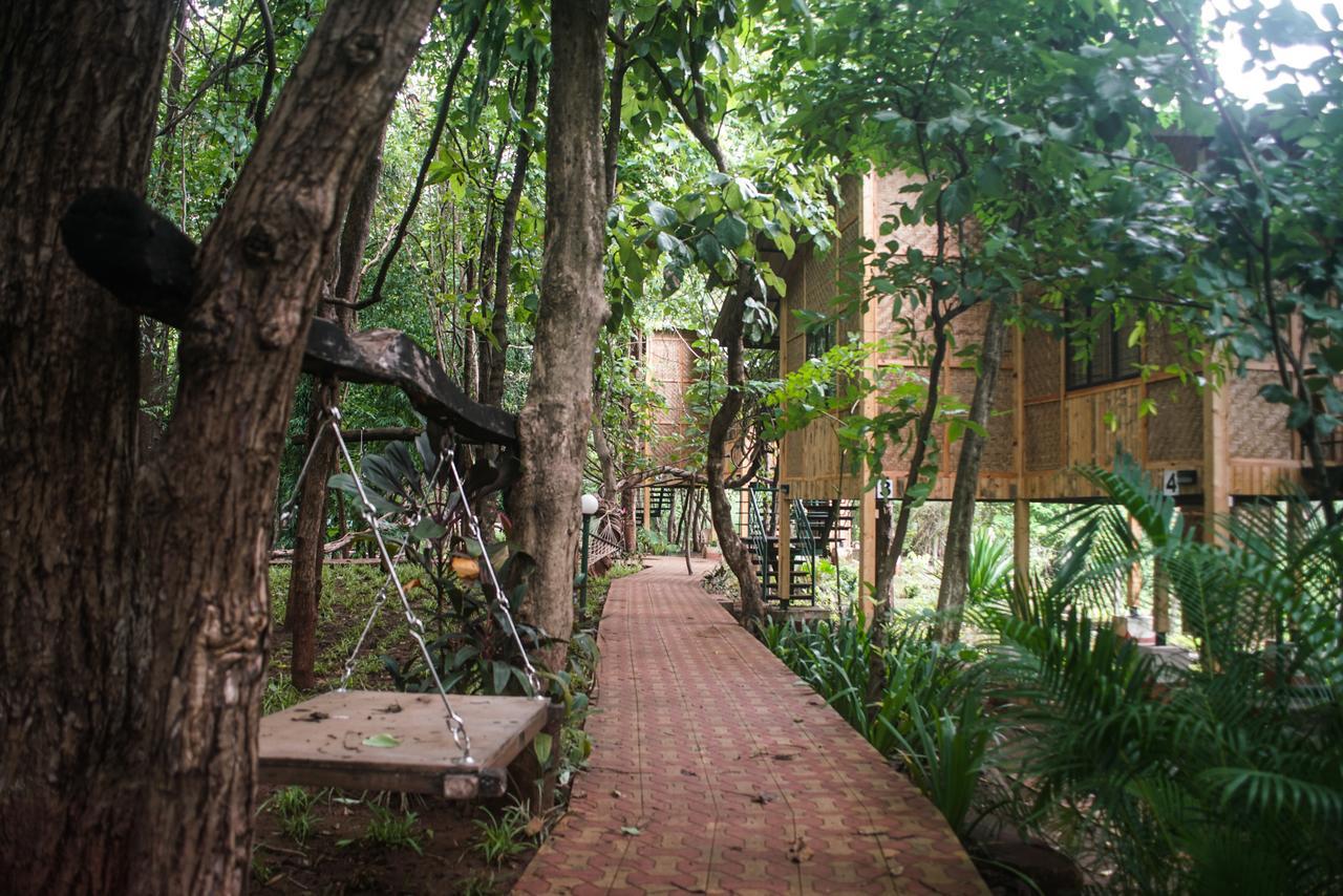 Nature Trails Sajan, Vikramgad Kudan Luaran gambar