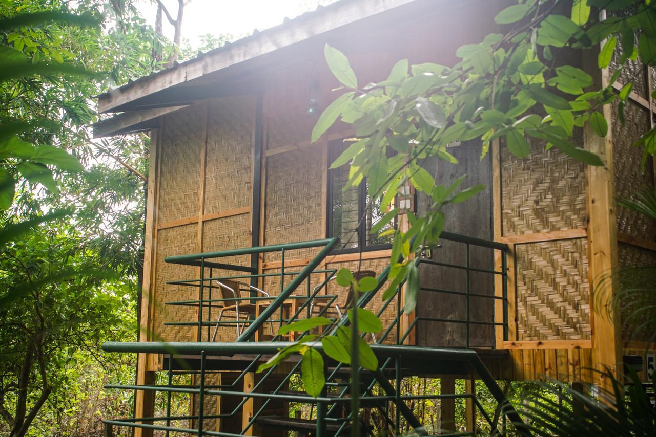 Nature Trails Sajan, Vikramgad Kudan Luaran gambar