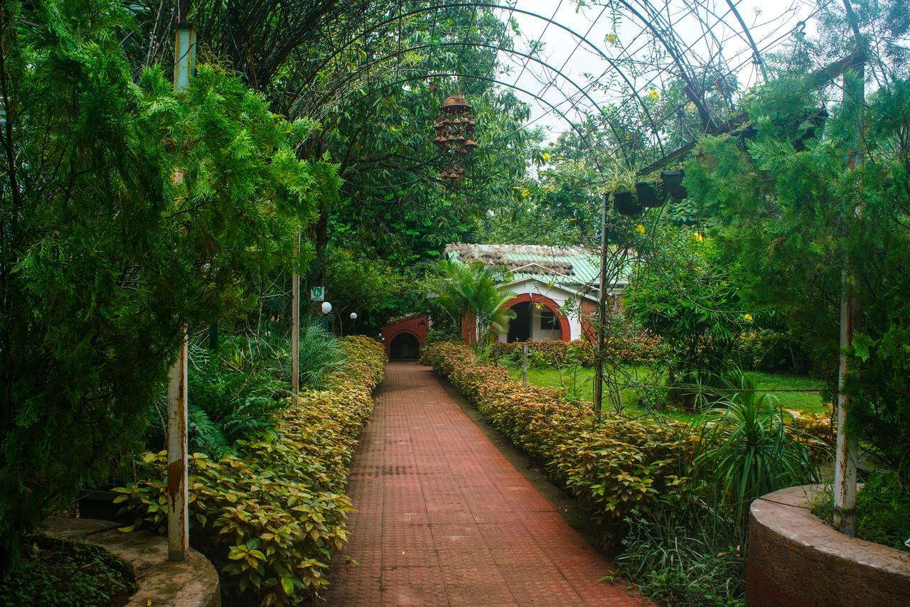 Nature Trails Sajan, Vikramgad Kudan Luaran gambar