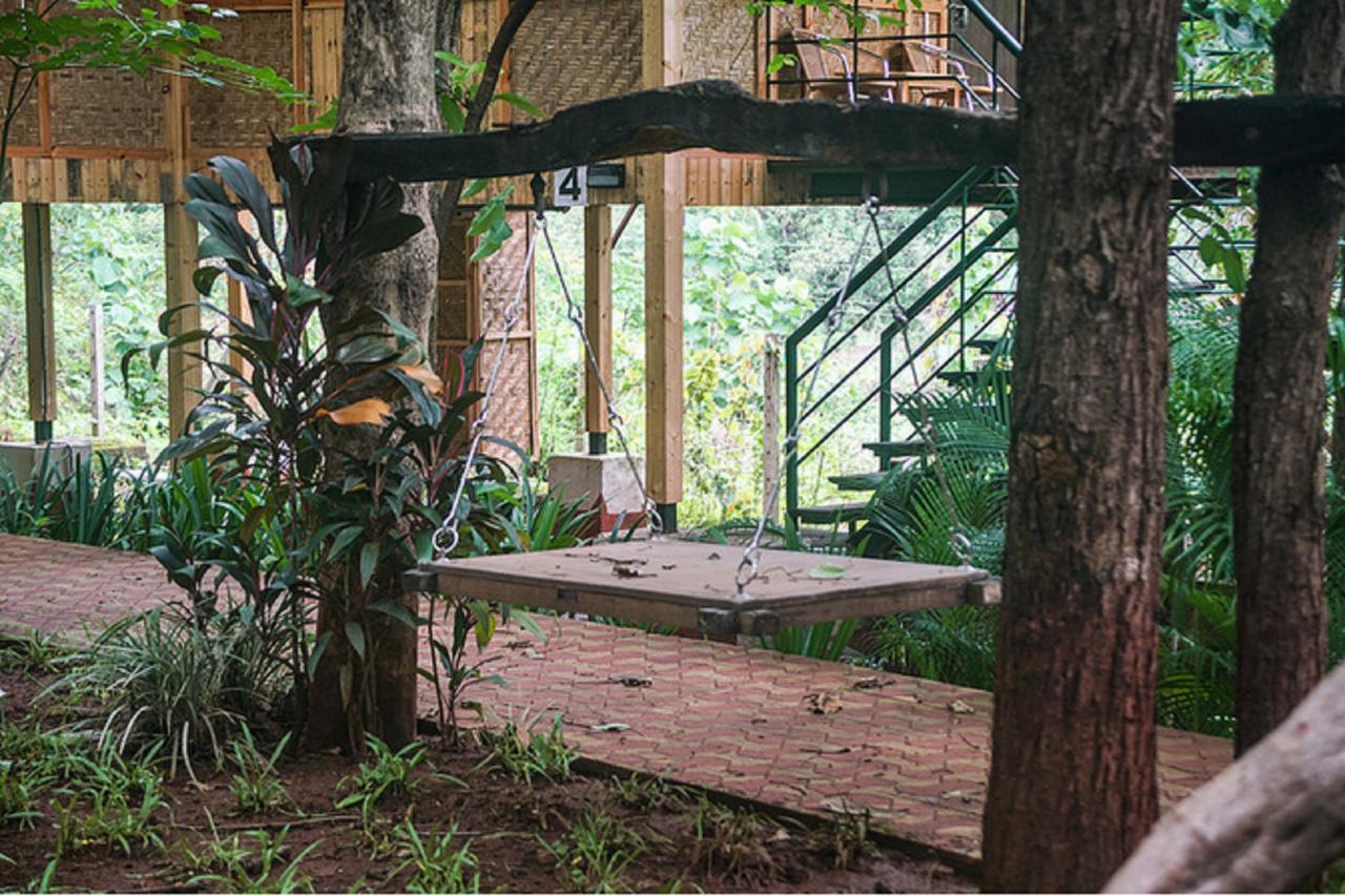 Nature Trails Sajan, Vikramgad Kudan Luaran gambar