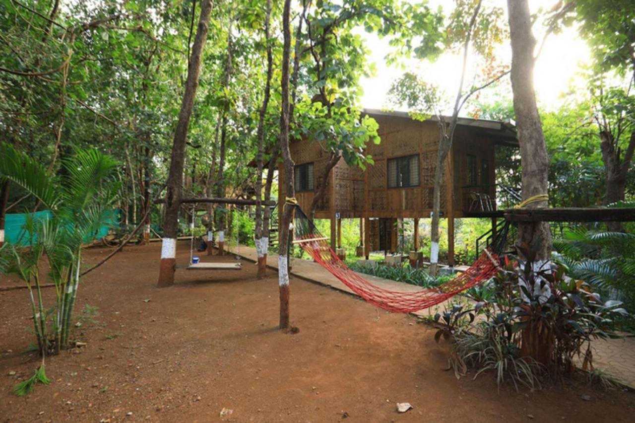 Nature Trails Sajan, Vikramgad Kudan Luaran gambar