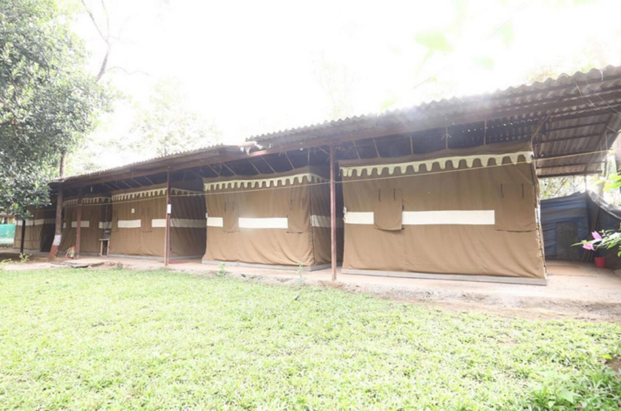Nature Trails Sajan, Vikramgad Kudan Luaran gambar